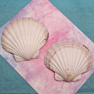 White / Tan Lion's Paws - VTG
